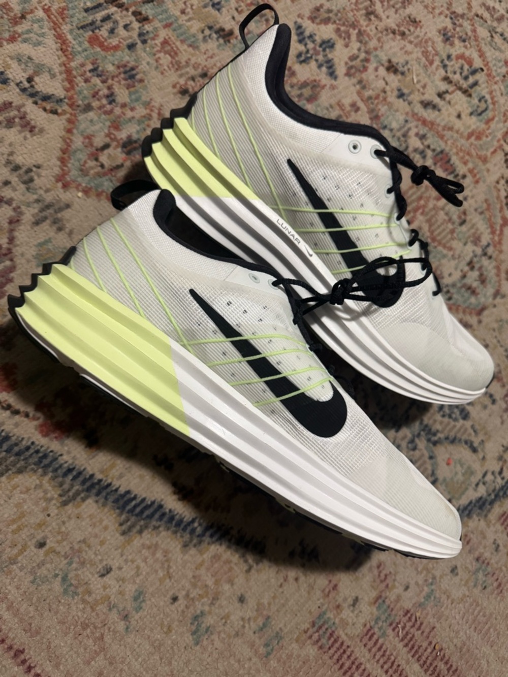 NWOB Nike Lunar Roam shoes